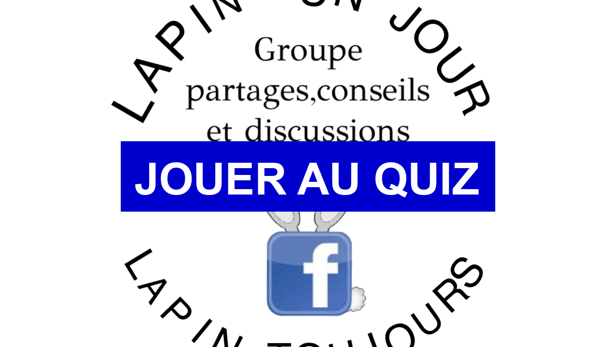 Quiz Animaux