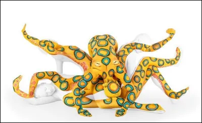 Quelle est la particularité de cet animal ?