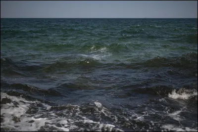 La surface de la Terre est recouverte ...