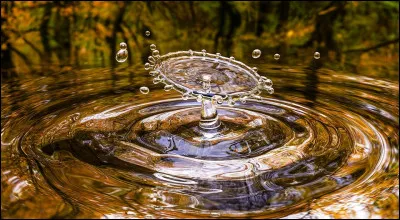 À quel groupe doit-on la chanson "Smoke on the water" ?