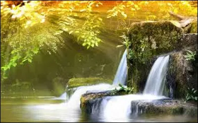 Qui a écrit le roman intitulé "Changer l'eau des fleurs" ?