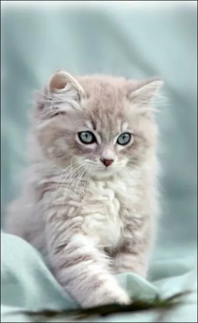 A-t-il des enfants ?