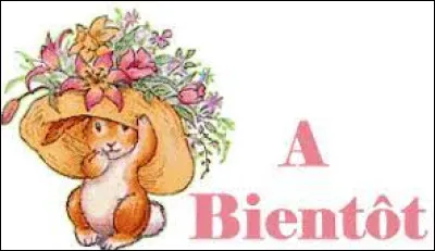 À bientôt pour un prochain quiz !