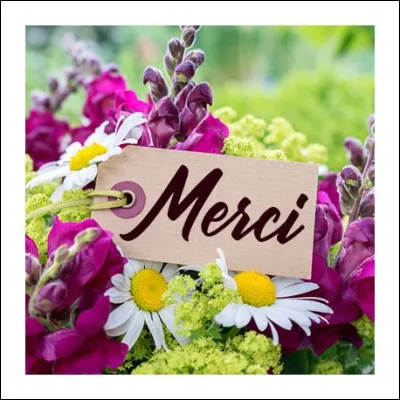 Comment dit-on « merci » en espagnol ?