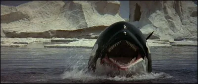 Un film d'aventure de 1977, réalisé par Michael Anderson, dans lequel on voit Richard Harris et Charlotte Rampling. Quel est le titre de ce film ?