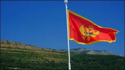 Indépendance du Monténégro, aussitôt admis à l'ONU comme le 192e État membre de lOrganisation des Nations unies.