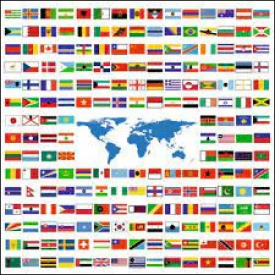 Où la race des goldens retrievers a-t-elle été créée ?