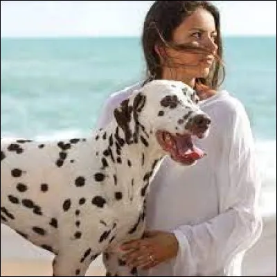 À quoi servaient les goldens ?