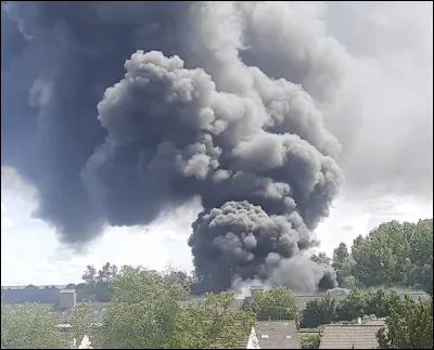 Un membre du Clan de l'Ombre assez compliqué à trouver. Qui est ce chat ?