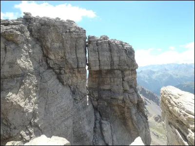 Un membre de la Tribu de l'Eau Vive. Qui est ce chat ?