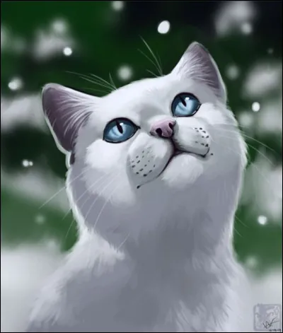 Selon toi, quel est le nom le plus stylé pour un chat mâle blanc ?