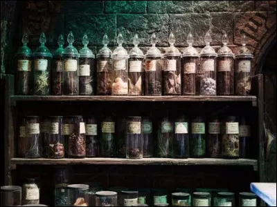 Pareil pour les potions, tu en connais pas mal, laquelle pr&eacute;f&egrave;res-tu ?