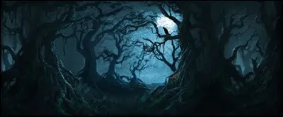 Tu as le malheur d'aller dans la for&ecirc;t interdite...