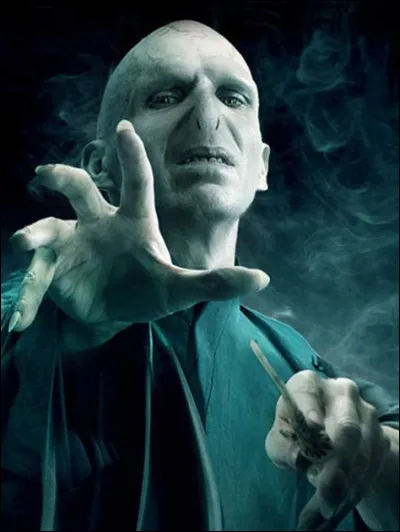 Durant ta septi&egrave;me ann&eacute;e, le monde magique va mal, Voldemort est bel et bien de retour. Que fais-tu ?