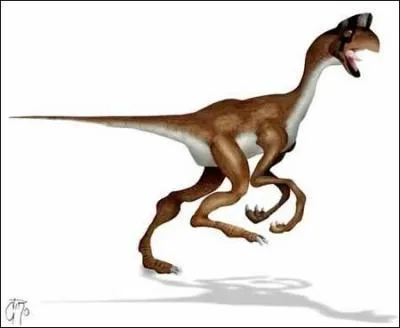 Comment s'appelle ce dinosaure voleur d'oeufs ?