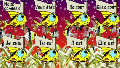 Le verbe aller est un verbe du...