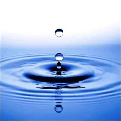 Quel compos&eacute; chimique pr&eacute;sent dans le sang entra&icirc;ne la goutte quand sa concentration devient excessive ?