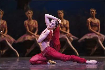 Dans quel ballet voit-on Nikiya ?