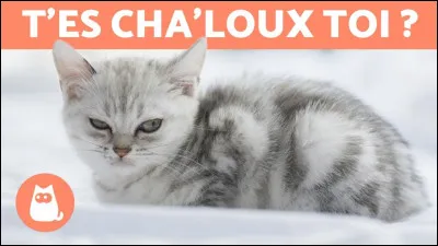 Qui l'a préféré ?