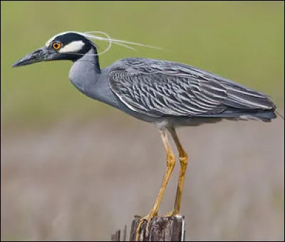 La commune normande ayant le code postal 76420, c'est...