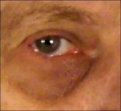 Sous quel acronyme est aussi connu le laboratoire européen pour la physique des particules ?