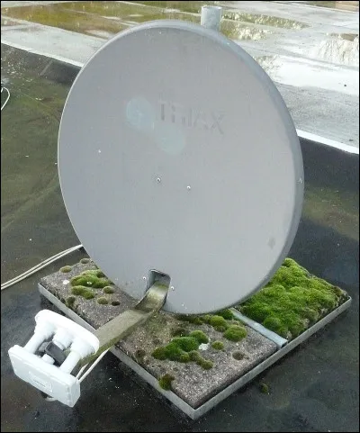 Quel nom porte la volonté vacillante d'un malade qui désire tantôt une chose et tantôt une autre ?