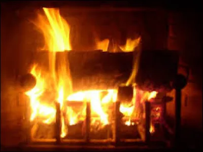 Sur quelle chaîne le feuilleton télévisé "Les Feux de l'amour" est-il diffusé ?