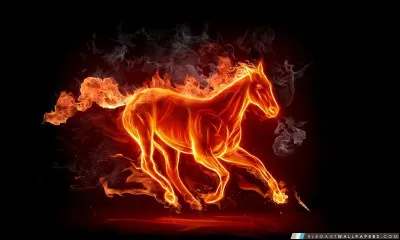 Quelle est la ville dont les habitants grillent le plus de feux rouges en France ?