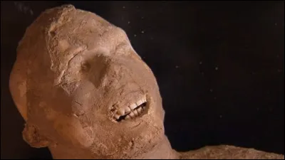 Combien de morts a fait l'éruption du Vésuve à Pompéi ?