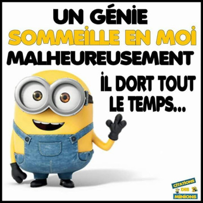 Quelle langue les Minions parlent-ils ?