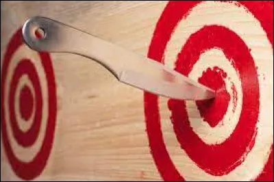 Quel est le nom de cette activité qui peut être, selon le cas, une pratique sportive, une technique de combat, un spectacle ou une activité ludique ?