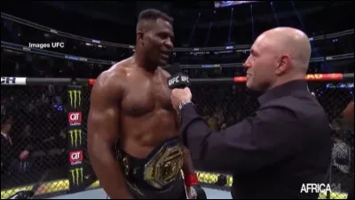 Parmi ces poids lourds, lequel n'a jamais remporté la ceinture de champion ?