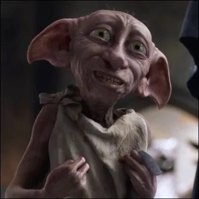 Dans quel tome Dobby apparaît-il ?