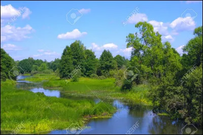 Tu as enfin pu te sortir de là ! Heureusement, tu trouves une rivière non loin de là. Une fois arrivé, que fais-tu en premier ?