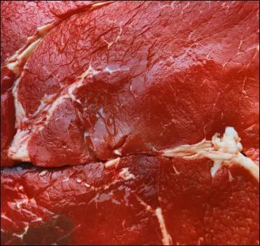 Quel animal n'est pas uniquement carnivore ?