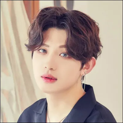 Lorsque Jinhoo faisait toujours parti dUp10tion, il était le leader. Maintenant quil a quitté le groupe, qui a pris sa place (vice-leader avant le départ de Jinhoo) ?