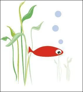 Lequel de ces poissons n'est pas considr comme un animal d'agrment ?