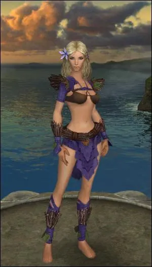 Pour quelle classe l'armure de druide d'lite est-elle conue ?