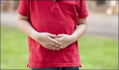 Comment dit-on le "ventre", en anglais ?