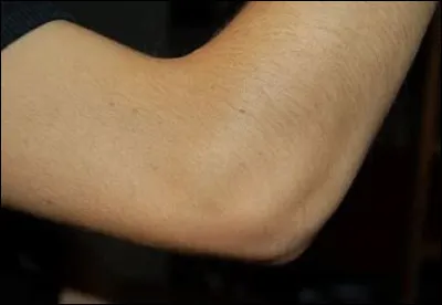 Comment dit-on les "coudes", en anglais ?