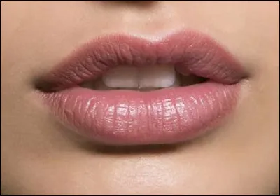 Comment dit-on la "bouche", en anglais ?