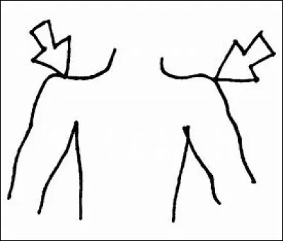 Comment dit-on les "épaules", en anglais ?