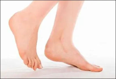 Comment dit-on le "pied" et les "pieds", anglais ?