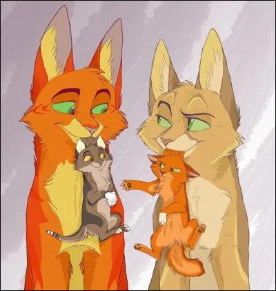 Veux-tu avoir un compagnon/une compagne et des enfants ?