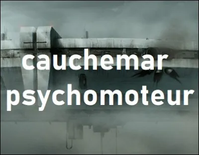 Quel chanteur toujours vivant est l'interprète de la chanson intitulée ''Cauchemar psychomoteur'' ?