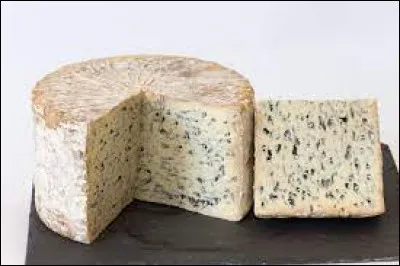 ''Le bleu dAuvergne'' est un fromage fabriqué à partir du lait de quel animal ?