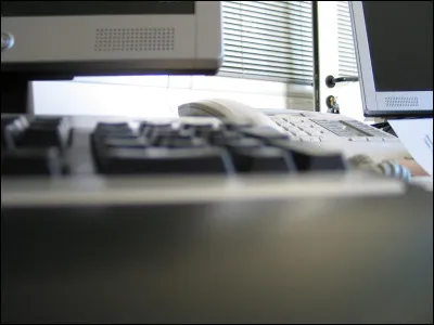 Si tu as ou avais un travail, ce serait :