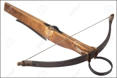 Quel est le nom de cette arme ?