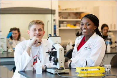 Sciences : Parmi cette liste, quel animal n'est pas un mammifère ?