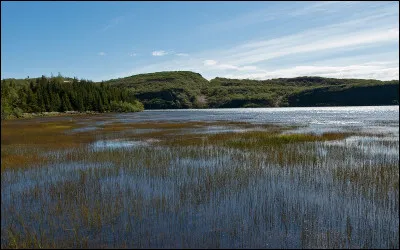 Choisissez l'écriture correcte :